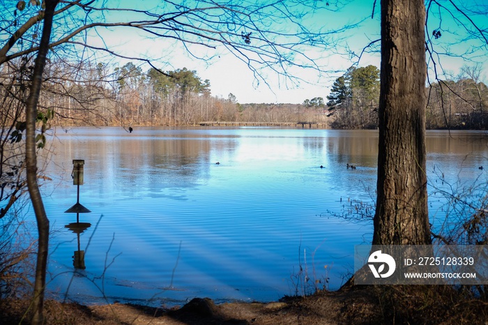 A beautiful view of a wood duck box in the millpond at Historic Yates Mill County Park in Raleigh No