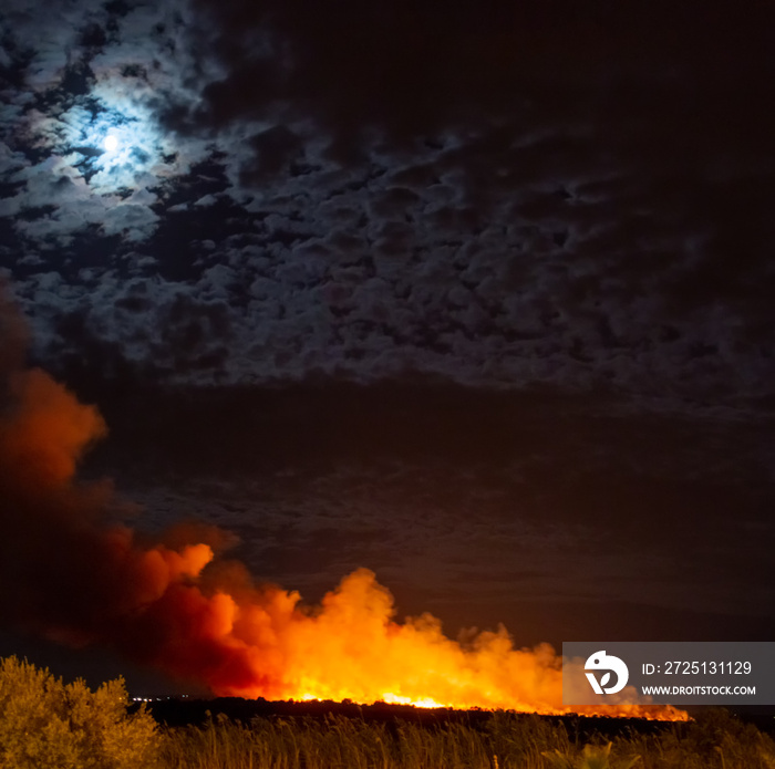 Fire in an uncontrolled natural area at night with a column of smoke and the moon above it. Ecologic