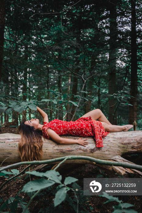 美丽的亚洲女人穿着红色连衣裙躺在森林里的木头上