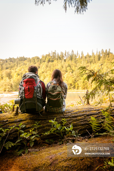 Rear view of young couple looking at river