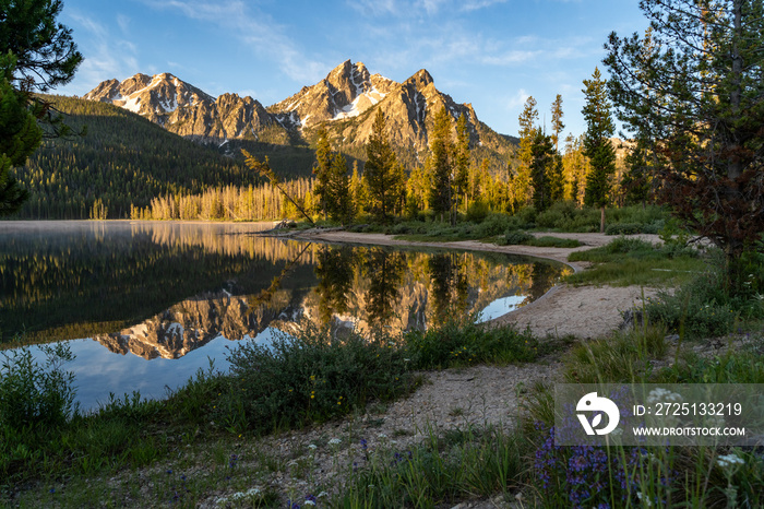 Beautiful sunrise at Stanley Lake in the Sawtooth Mountains of Idaho. Reflection in water with wildf