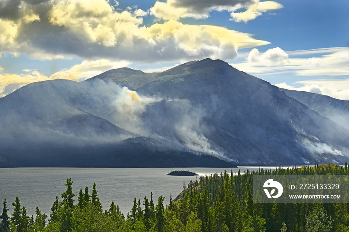 Tagish Lake, Yukon Territory, Canada. The Forest fire, along the east bank of Tagish Lake, it was ig