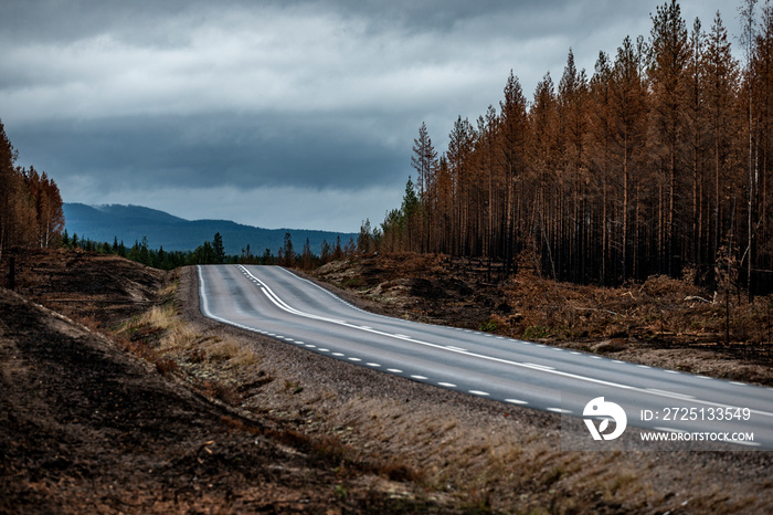 road and burned  forest near Kårböle Jämtland Sweden