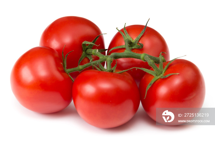 frische rote Tomaten