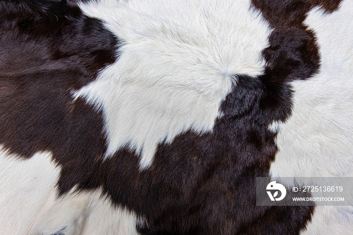 brown Cow skin coat with fur black white and brown spots