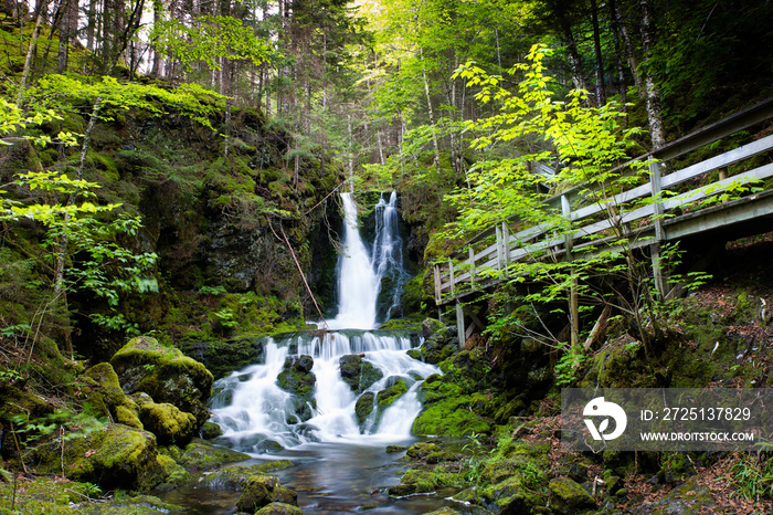 芬迪国家公园中央有茂密绿色天然森林树木的Pristine瀑布。迪克
