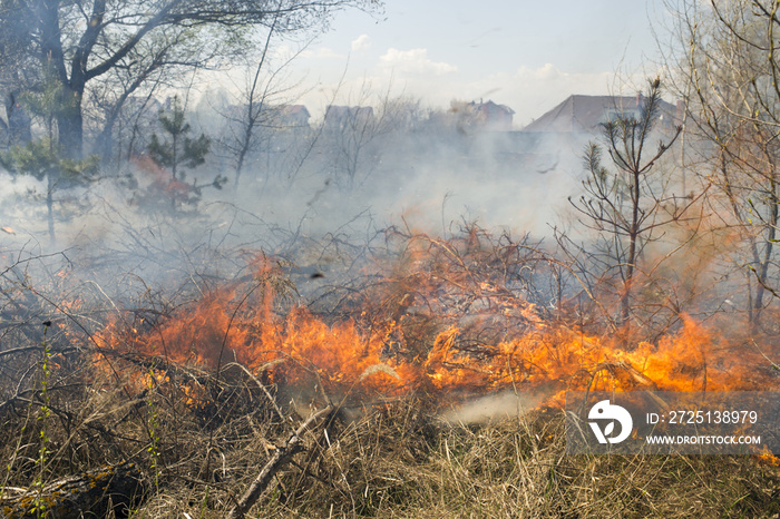 wall of fire and smoke in the background of private homes