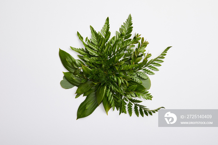 composition of fresh green fern leaves isolated on grey background