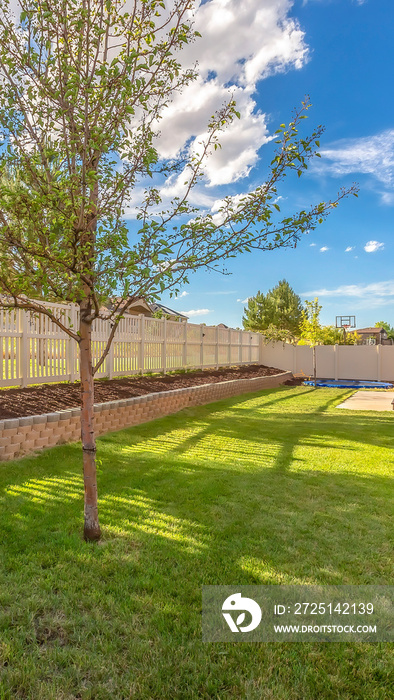 Vertical Home backyard with vibrant lawn and raised planting bed along white picket fence