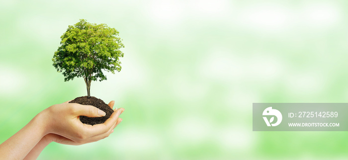 Ecology and Environmental Concept : Hand holding green plant tree growth thru brown soil with bokeh 