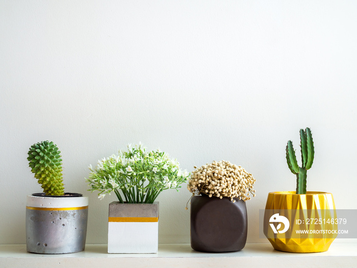 Beautiful various geometric concrete planters with cactus, flowers and succulent plant. Painted conc