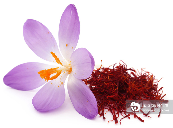 Saffron with crocus flower