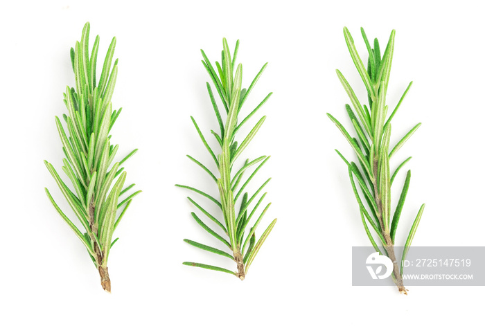 Rosemary leaves isolated on white background, top view