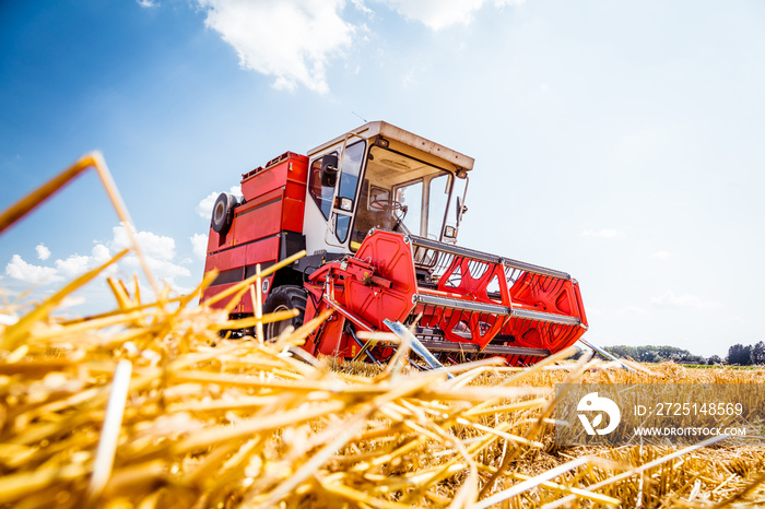 Mähdrescher erntet reifen Weizen. Landwirtschaft