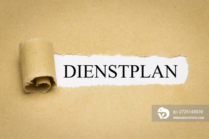 Dienstplan编号