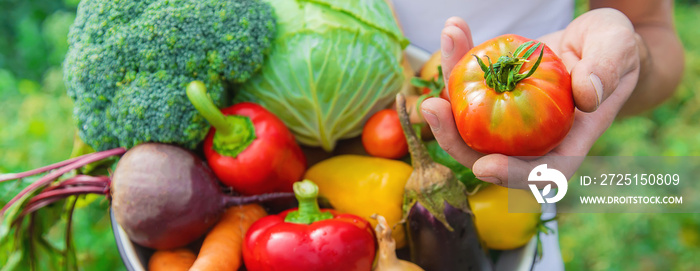 Man farmer with homemade vegetables in his hands. Selective focus.