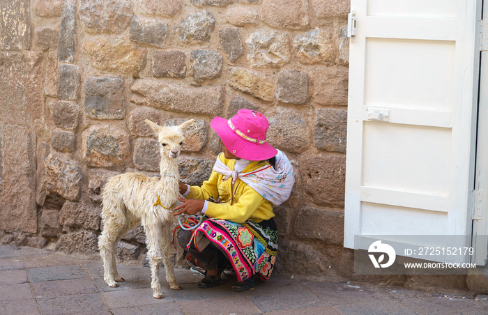 Peruvian little girl in traditional dress with baby llama on the street of Cusco, Peru, Latin Americ