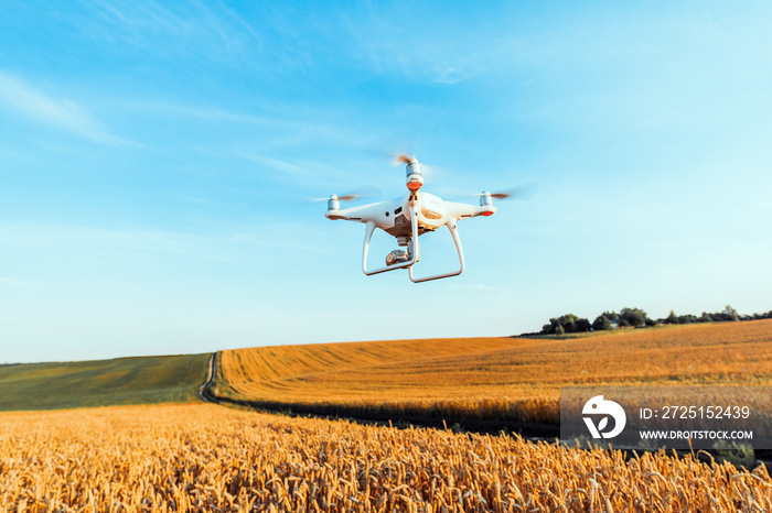 drone quad copter on green corn field