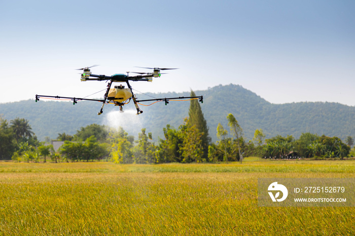 Modern smart farm with drone. Agriculture drone fly to sprayed fertilizer on the rice fields.