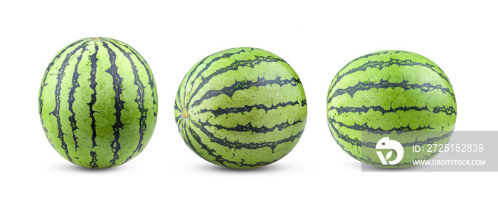 watermelon on white background