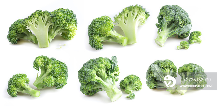 Collection of broccoli isolated on white