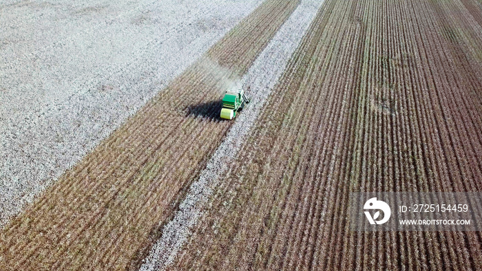 大型绿色采棉机在田地里工作的鸟瞰图。