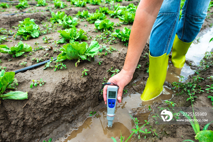 Woman mesures irrigation water with digital PH meter in watering canal.