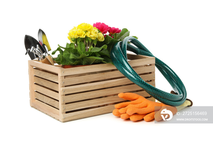 Wooden box, gardening tools and flowers isolated on white background