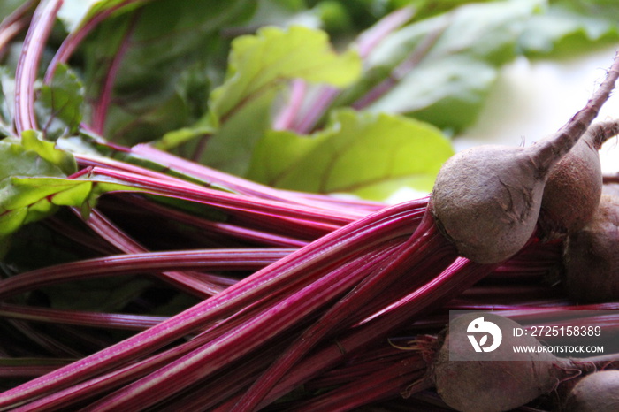 buraki buraczki botwinka warzywa vege jedzenie rolnictwo