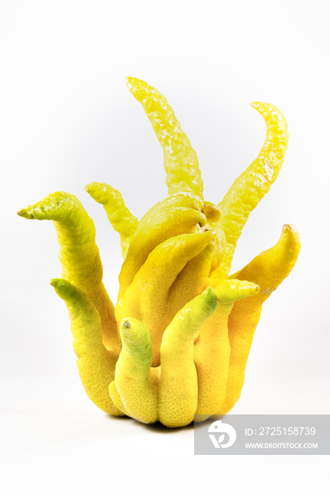 buddhas hand