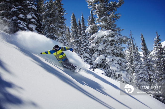 Man snowboarding on snow covered field against trees