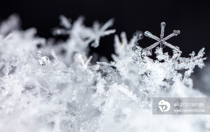 雪上的自然雪花，冬天