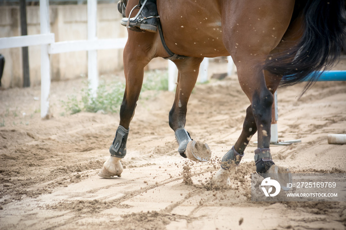 close up of horse hooves trotting