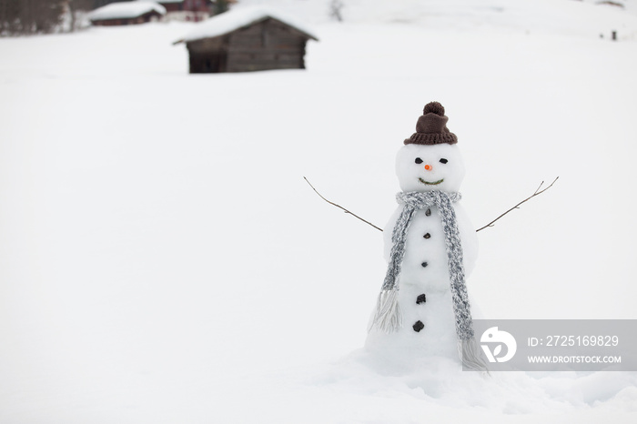 雪地里戴着针织帽子和围巾微笑的雪人