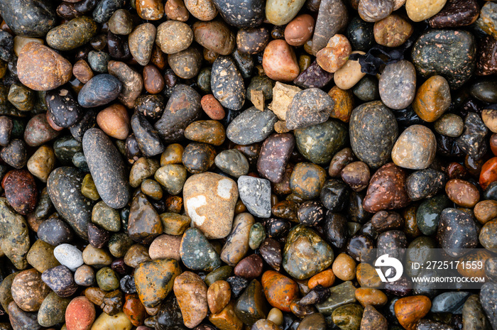 Wet multi-colored rocks from a tide pool.