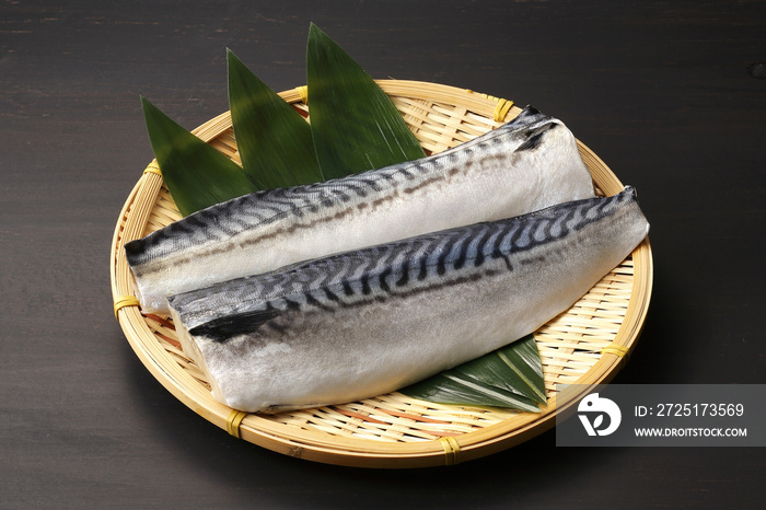 鯖　Mackerel