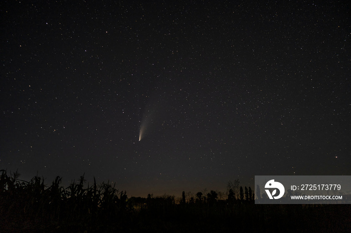 Comet in the night sky