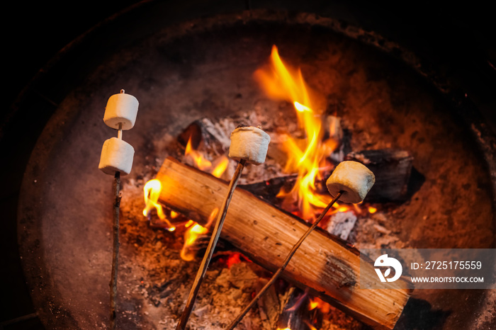 キャンプで焼きマシュマロ　Marshmallow baked in the camping