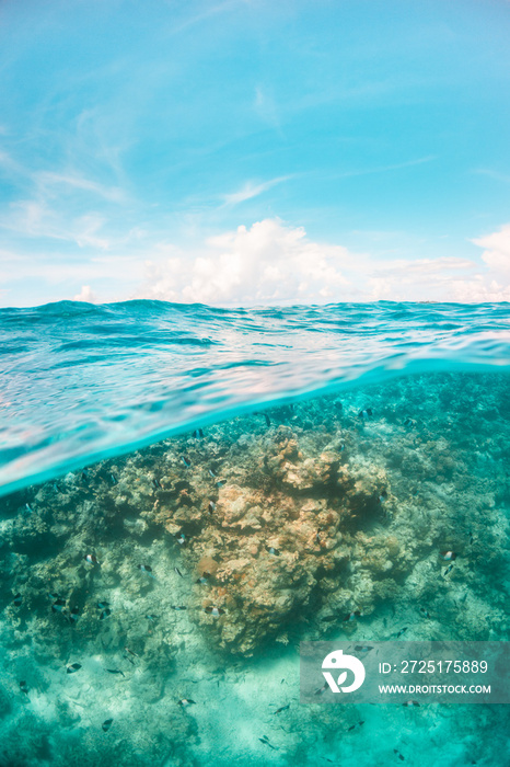 Underwater split shot of coral underwater and blue sky at the surface