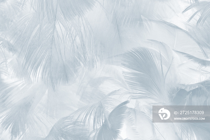 Beautiful white baby blue colors tone feather pattern texture cool background for decorative design 