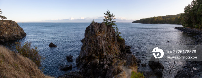 Creyke Point，East Sooke Regional Park，Sooke，温哥华岛，不列颠哥伦比亚省，加拿大。美丽