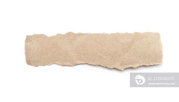 Recycled paper craft stick on a white background. Brown paper torn or ripped pieces of paper isolate