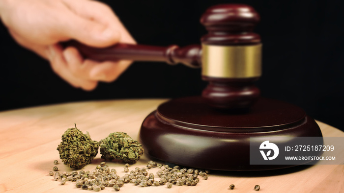 Cannabis, marijuana and hemp products on court table with judges gavel. Illegal crime concept.