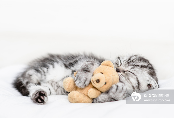 Baby kitten sleeping with toy bear on pillow at home