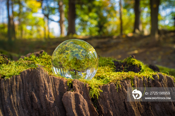 Crystal Ball Nature