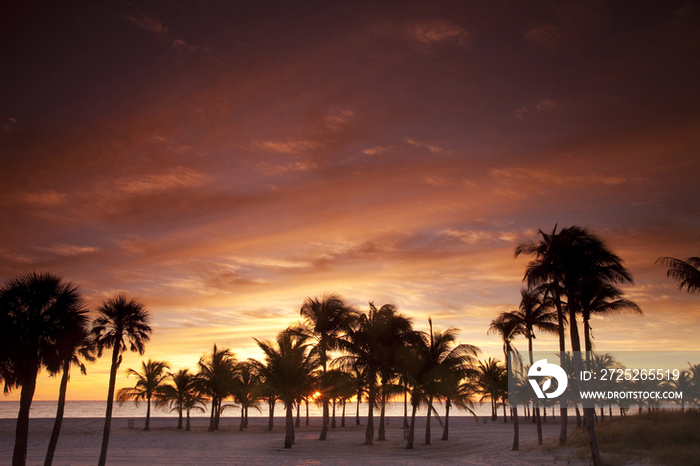 Usa, Florida, Miami, Key Biscayne, sunrise over Crandon Beach