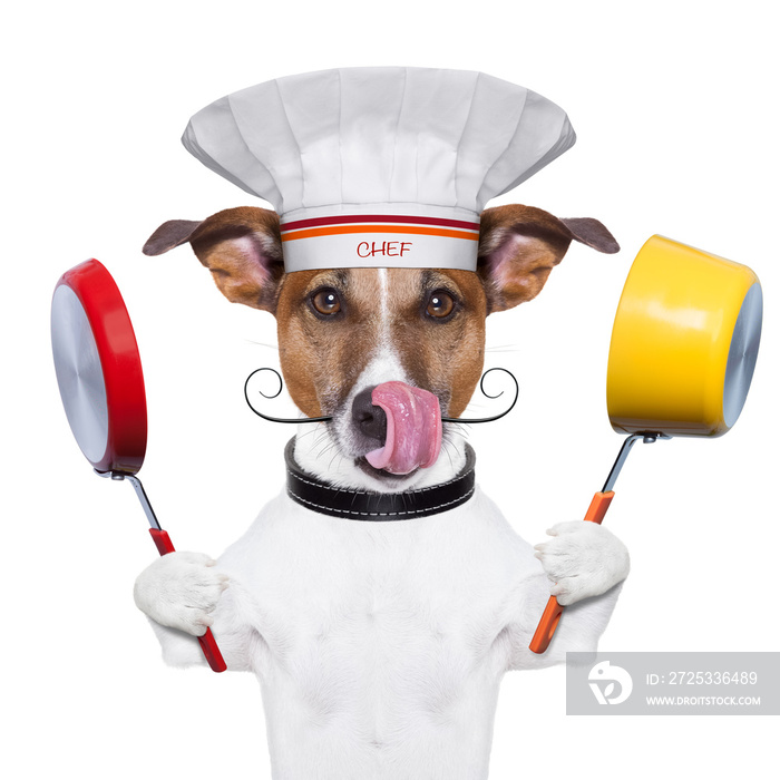狗厨厨师