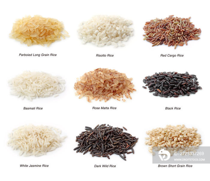 Rice collection isolated on white background