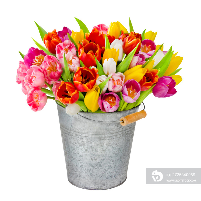 郁金香，带有装饰和花卉图案的独立花束