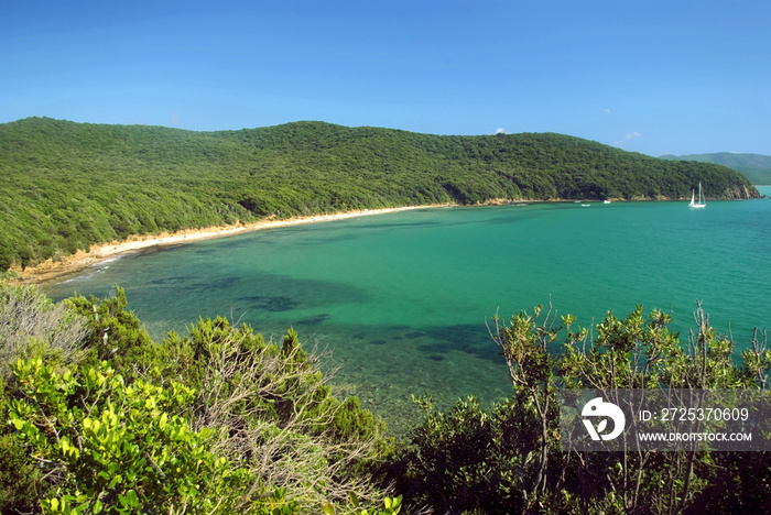 Toscana, Golfo di Follonica,Cala Violina 4